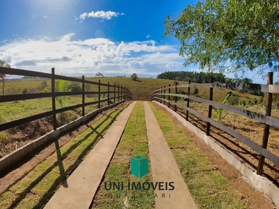 Terreno, 2692 m² - Foto 3