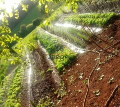 Sítio, 1 hectares - Foto 2