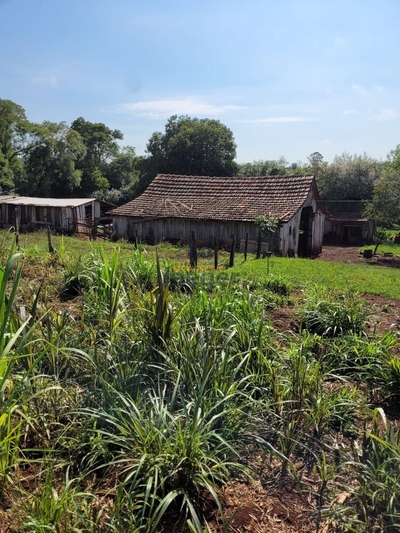 Chácara, 3 hectares - Foto 1