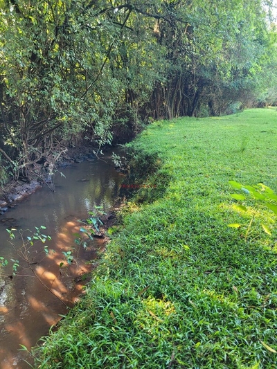 Chácara, 3 hectares - Foto 4