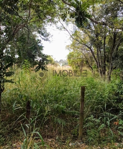 Terreno, 1000 m² - Foto 3