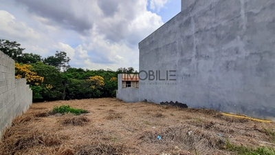 Terreno, 483 m² - Foto 4