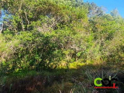 Terreno, 250 m² - Foto 3