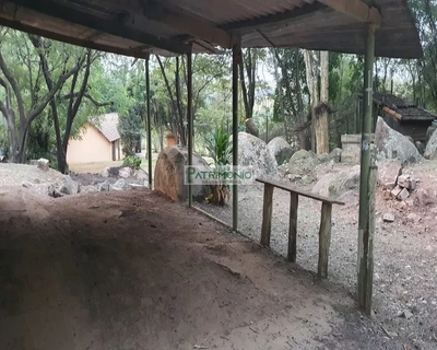 Sítio, 2 quartos, 3 hectares - Foto 4