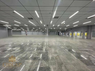 Depósito-Galpão, 5369 m² - Foto 5