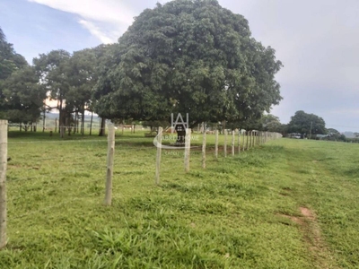 Fazenda-Sítio-Chácara - Foto 2