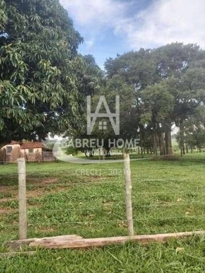 Fazenda-Sítio-Chácara - Foto 5