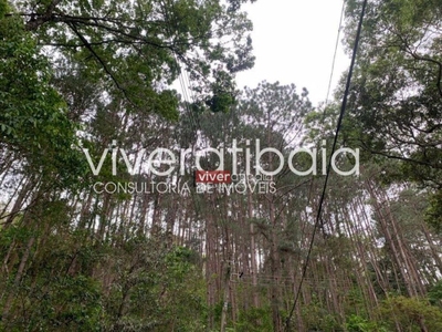 Terreno, 2 hectares - Foto 4