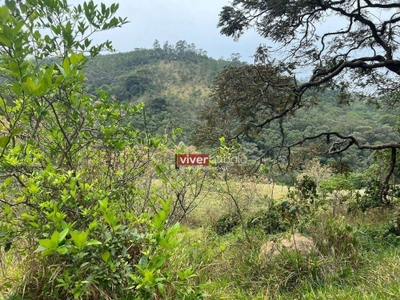 Terreno, 2 hectares - Foto 1