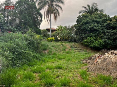 Terreno, 443 m² - Foto 3