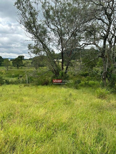 Terreno, 2420 m² - Foto 2