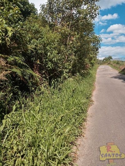 Terreno, 10000 m² - Foto 2