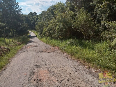 Terreno, 10000 m² - Foto 3