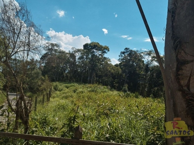 Terreno, 10000 m² - Foto 1