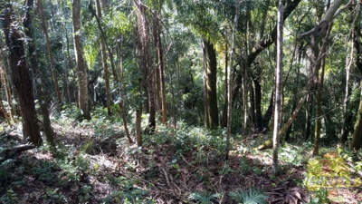 Terreno, 10000 m² - Foto 4