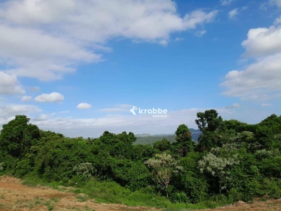 Terreno, 3 hectares - Foto 3