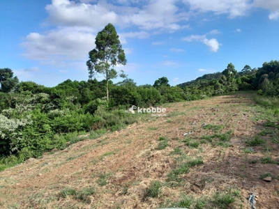 Terreno, 3 hectares - Foto 1