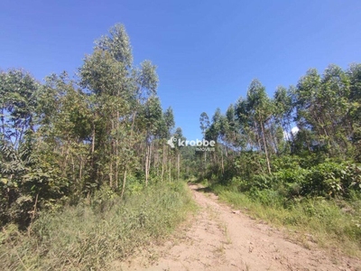 Terreno, 16 hectares - Foto 3