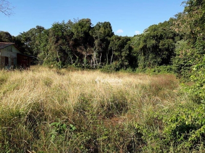 Terreno, 3000 m² - Foto 2