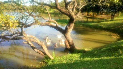 Loteamento e Condomínio, 2500 m² - Foto 3