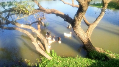 Loteamento e Condomínio, 7550 m² - Foto 3