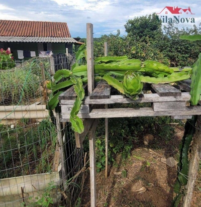 Sítio, 2 quartos, 5 hectares - Foto 5