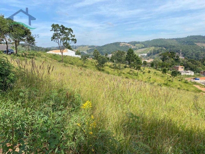 Terreno, 3 hectares - Foto 1