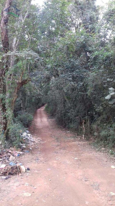 Terreno, 2 hectares - Foto 3