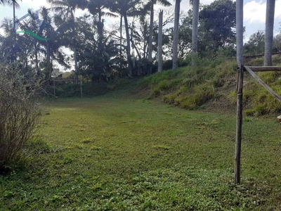 Sítio, 5 quartos, 6 hectares - Foto 1