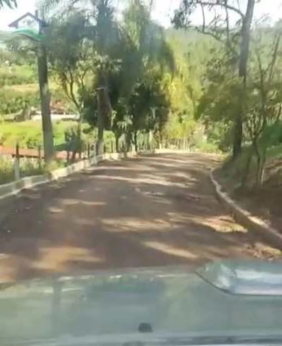 Sítio, 4 quartos, 6 hectares - Foto 4