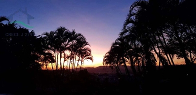 Casa, 4 quartos - Foto 4