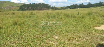 Fazenda-Sítio-Chácara, 911 hectares - Foto 3