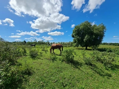 Fazenda-Sítio-Chácara, 252 hectares - Foto 1