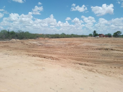 Terreno, 250 m² - Foto 3