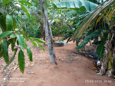 Sítio, 2 quartos, 1800 m² - Foto 5