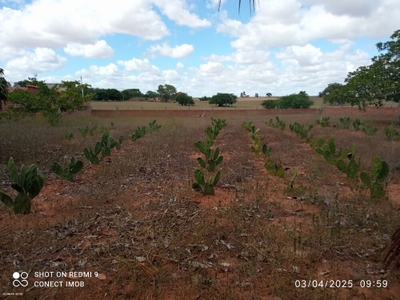 Sítio, 2 quartos, 1800 m² - Foto 4