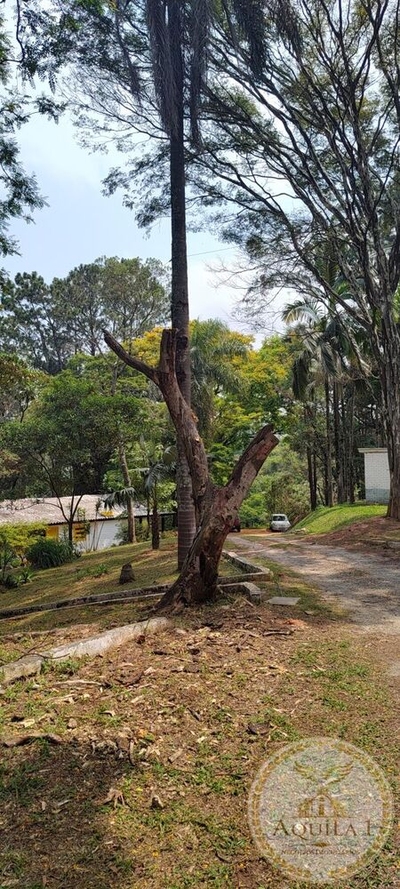 Chácara, 3 quartos, 160 hectares - Foto 3