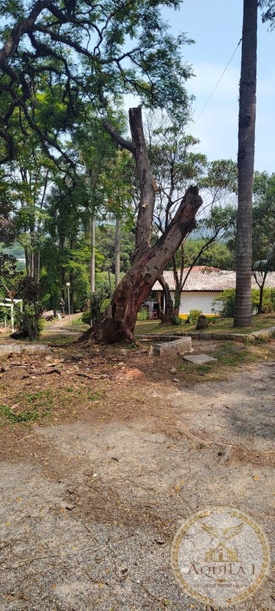 Chácara, 3 quartos, 160 hectares - Foto 4