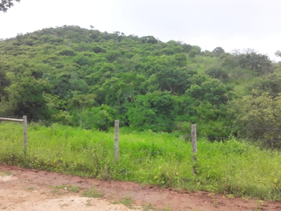 Fazenda-Sítio-Chácara, 1200 m² - Foto 2