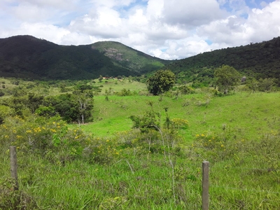 Fazenda-Sítio-Chácara, 1200 m² - Foto 1