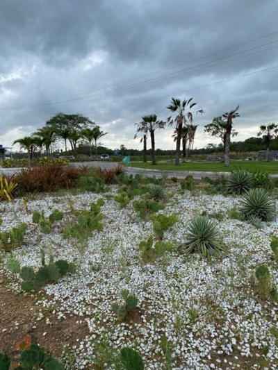 Terreno, 150 m² - Foto 4