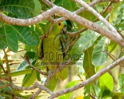 Fazenda-Sítio-Chácara, 4000 m² - Foto 1