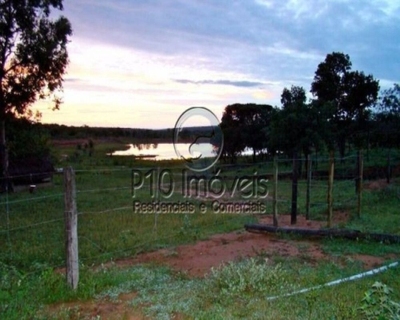 Fazenda-Sítio-Chácara, 4000 m² - Foto 3