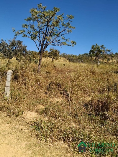 Sítio, 3 quartos, 61 hectares - Foto 1