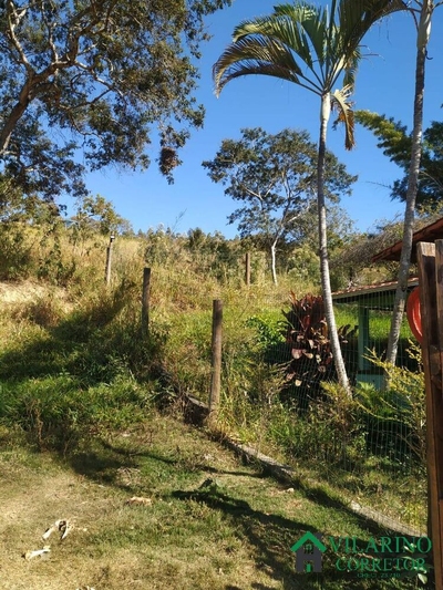 Sítio, 3 quartos, 61 hectares - Foto 2