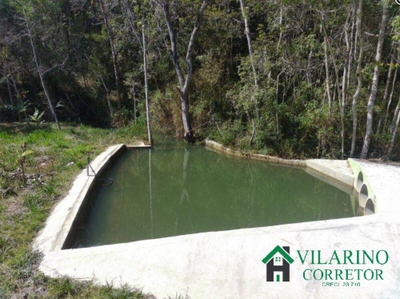 Sítio, 3 quartos, 3 hectares - Foto 4