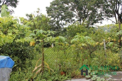 Casa, 5 quartos, 223 m² - Foto 4