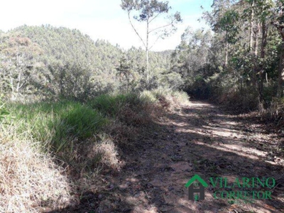 Terreno, 3 hectares - Foto 1