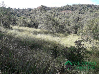 Terreno, 3 hectares - Foto 5