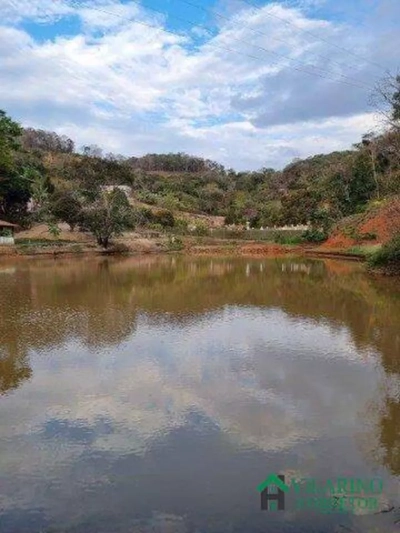 Terreno, 2 hectares - Foto 4